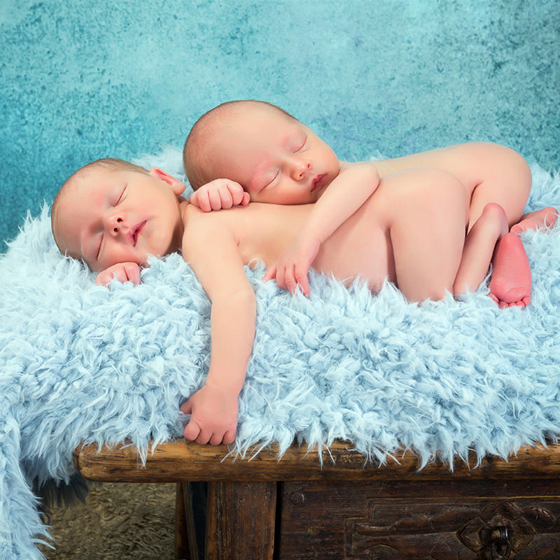 portfolio_13_800x800